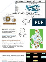 Macromoléculas