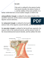 Angle of The Neck