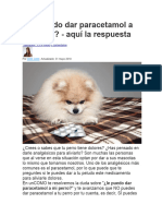 Le Puedo Dar Paracetamol A Mi Perro