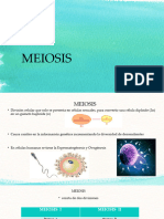 Meiosis Cbtis43