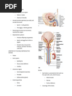 The Reproductive Systemnotes