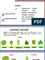 Leaf Description - PPT For Children..adverb Recap