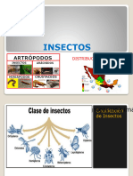 1-1-Insectos y Taxonomia