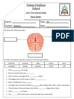 Brain Worksheet Rev 1-3