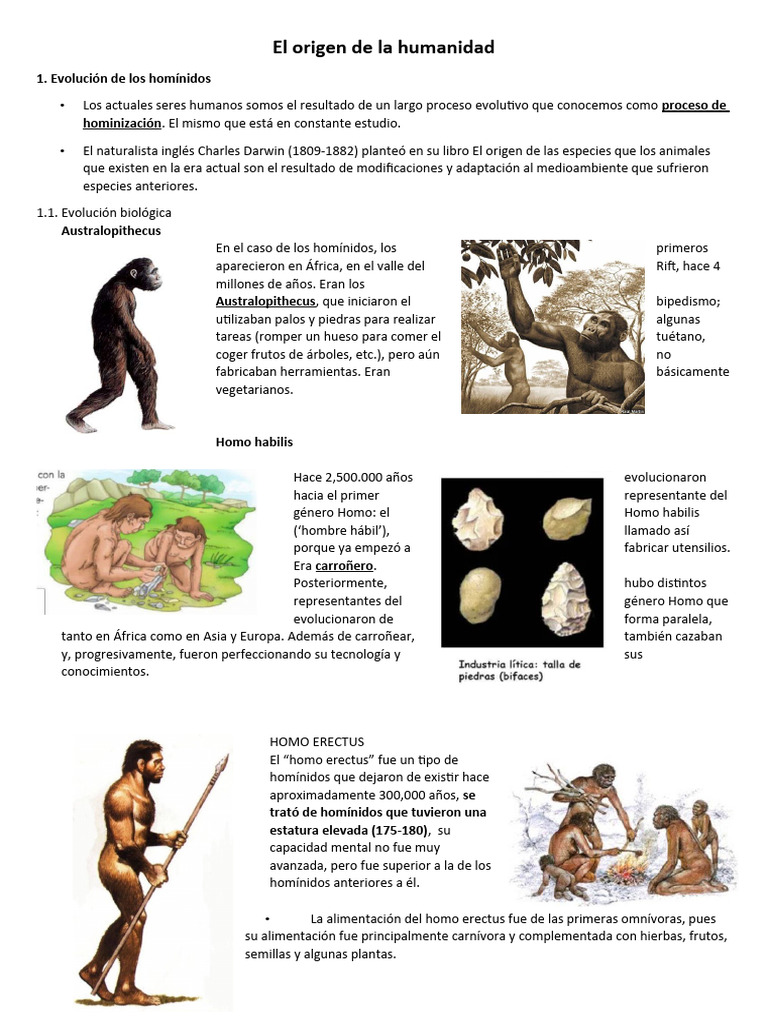 Evolución y herramientas de homínidos | PDF | Homo | neanderthal