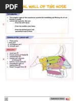 Anatomy of the Norma Basalis | PDF | Human Head And Neck | Human Anatomy