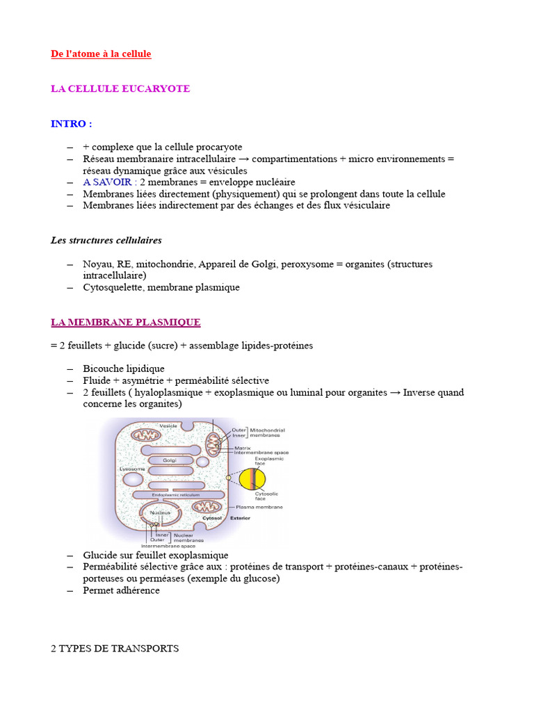 Structures et fonctions de la cellule | PDF | Vacuole | Membrane cellulaire