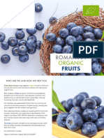 2022 Finest Berry Group - Organic Fruits For Clients