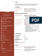 CV de Anas Assouli PDF