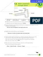 Worksheet Science