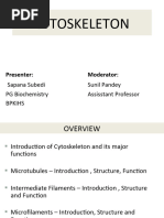 Cytoskeleton