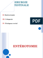 4 - Entérotomie-Entérectomie