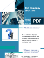 The Company Structure