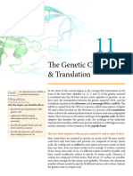 Dna Translation