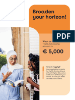 Flyer NL Scholarship Study in NL