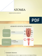 Anatomia 2.