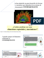 Unidad 9 - 2023 Citoesqueleto - 4 Clases PDF