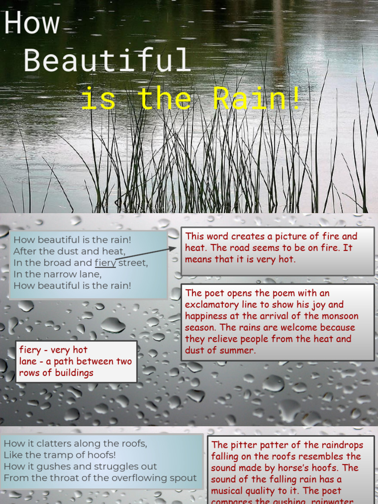 7.+class+5 English Week+8 AC+4-C | PDF | Rain | Plough