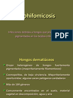Feohifomicosis