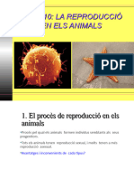 UD9. La Funció de Reproducció Animal