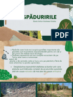 DESPĂDURIRILE