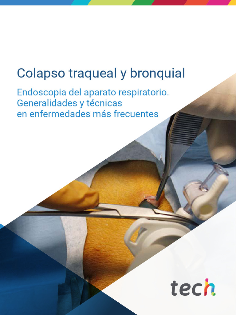 Colapso Traqueal y Bronquial en Perros | PDF | Tos | Medicina CLINICA