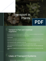 Transport in Plants (1) IGCSE Biology
