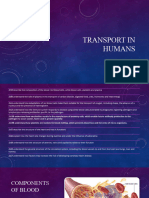 Transport in Humans IGCSE Biology