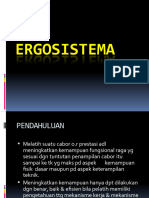 Ergo Sistema