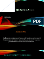 Force Musculaire
