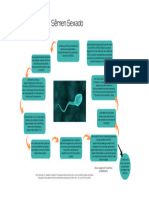 Mapa Mental - Semen Sexado