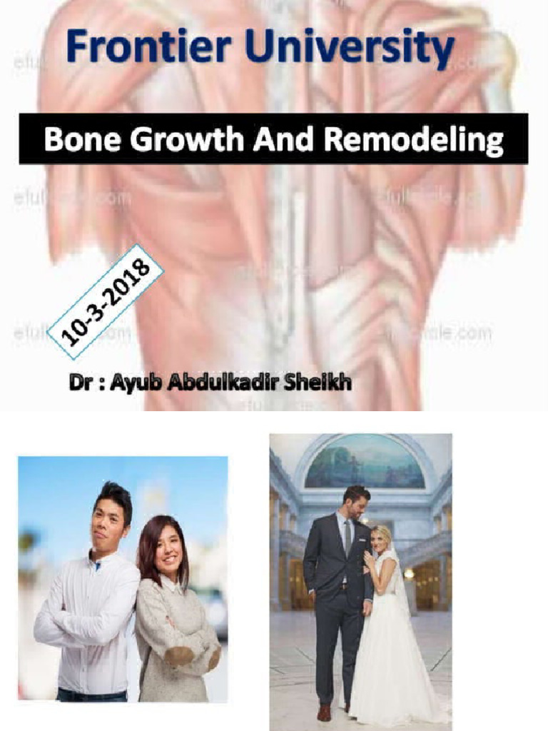 Bone-Growth-and-Remodelling Biology Diagrams