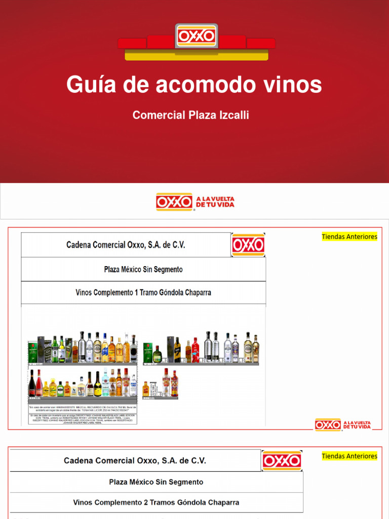 Guía de Acomodo Vinos | PDF | Cocina, comidas y vino | Arte