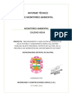 Informe Tecnico de Monitoreo Ambiental - Salitral