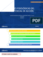 Sesion+1+ +Bases+Del+Potencial+de+AcciÓn