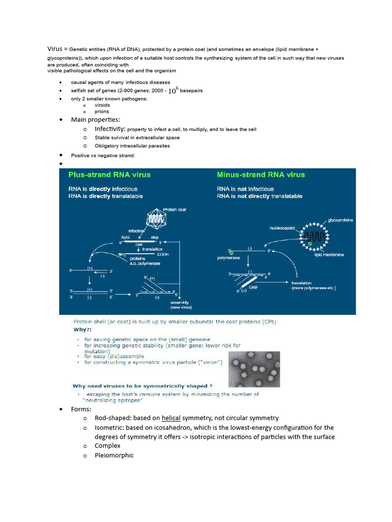 Understanding Virus Structure and Function | PDF | Virus | Rna Interference