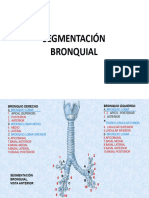 Segmentación Bronquial
