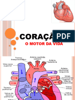 Corpo Saudável