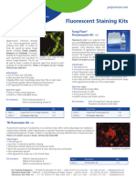 Fluorescent Staining Kits