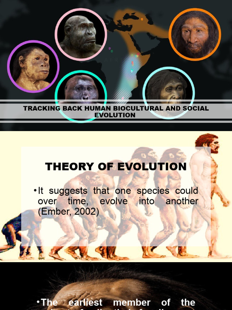 Human Biocultural Evolution Overview | PDF | Homo | Lucy (Australopithecus)