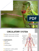 Circulatory System Histology