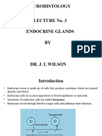 Neurohistology Lecture 3 Endocrine System