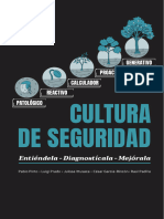 Libro Cultura de Seguridad