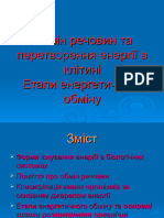 Етапи енергетичного обміну