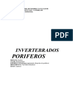 Lista de Fosiles Invertebrados