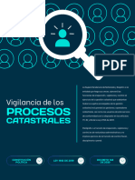 09 - Vigilancia de Los Procesos Catastrales