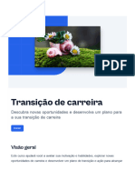 Transicao de Carreira