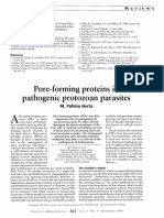 Pore Forming Proteins in Pathogenic Protozoan para