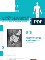 UT6. Anatomía Por Imagen-Digestivo