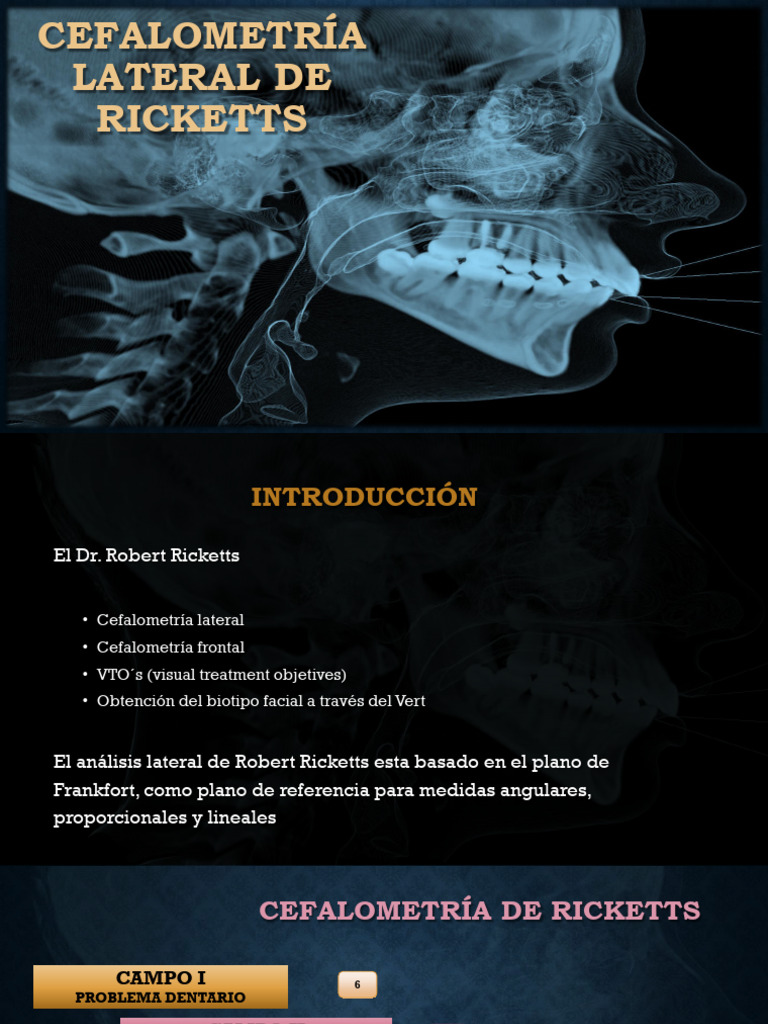 7. CEFALOMETRIA DE RICKETTS RESUMIDO | PDF | Diente | Anatomía humana